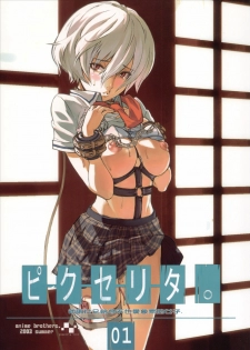 (C64) [Anime BROTHERS (Itsuki Kousuke)] PixelitA 01
