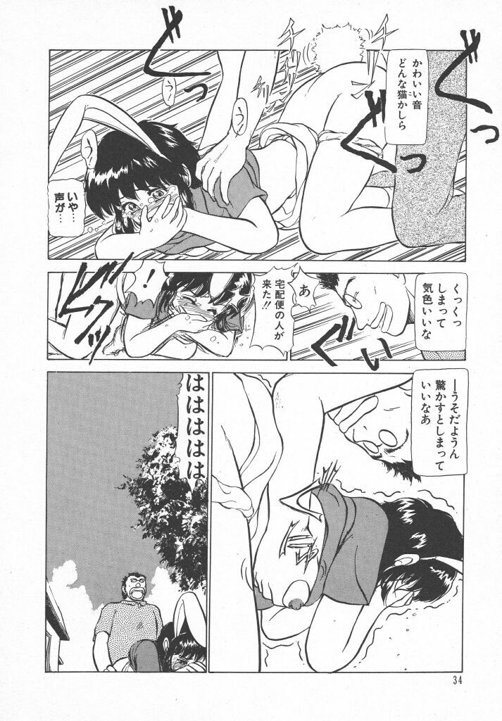 [Ayasaka Mitsune] Tottemo DANGER Bunny-chan!! SIDE-B page 36 full
