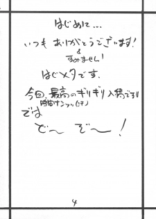 (C71) [ZINZIN (Hagure Metal)] At Goblin The Fake Server Vol. 5 (Final Fantasy XI) - page 3