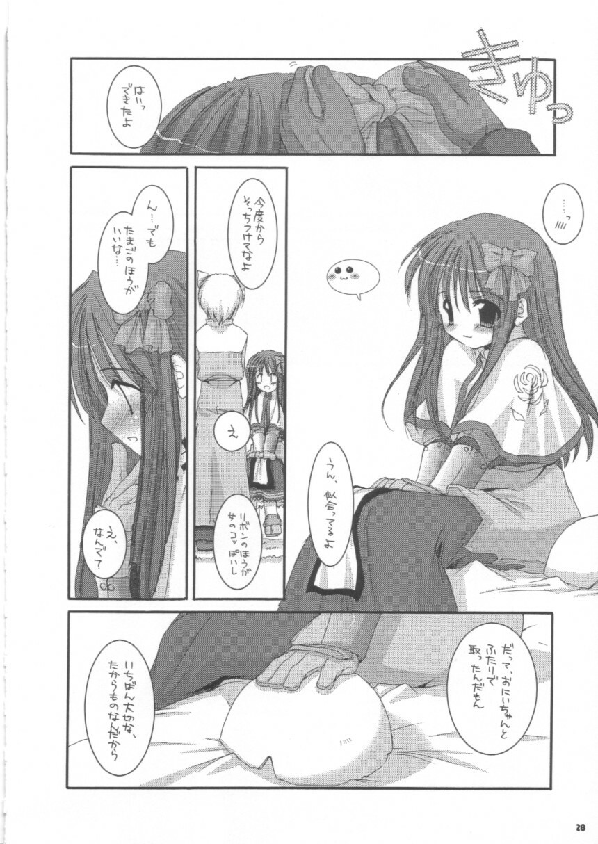 (C63) [Digital Lover (Nakajima Yuka)] D.L.action 16 (Ragnarok Online) page 28 full