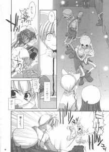 (C63) [Digital Lover (Nakajima Yuka)] D.L.action 16 (Ragnarok Online) - page 14