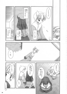 (C63) [Digital Lover (Nakajima Yuka)] D.L.action 16 (Ragnarok Online) - page 39