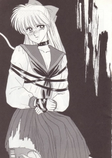 (C43) [Secret Society M (Kitahara Aki)] Hiru Ga Yoru Ni Utsuru Koro (Bishoujo Senshi Sailor Moon) - page 2
