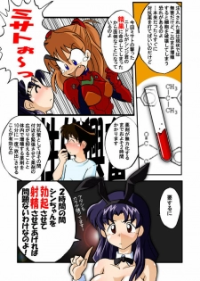 (C71) [Dourakuya Honpo (Hetano Yokoduki)] Mamanaranu Asuka-sama 6 (Neon Genesis Evangelion) - page 6