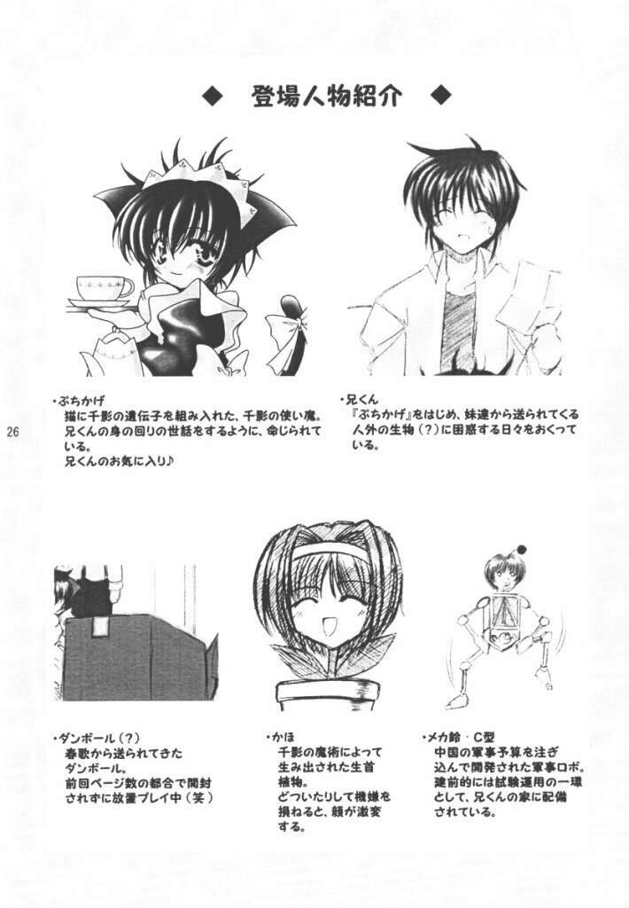 (C61) [Takane no Hanazono (Takane Nohana)] CURIOSITY (Sister Princess) page 24 full