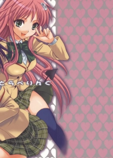 (SC37) [Takumi na Muchi] Traveling (To LOVE-Ru)