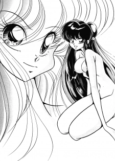 [C-Company] C-COMPANY SPECIAL STAGE 15 (Darkstalkers, Ranma 1/2) - page 22