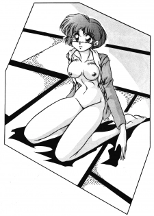 [C-Company] C-COMPANY SPECIAL STAGE 15 (Darkstalkers, Ranma 1/2) - page 42