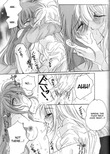 (C73) [SEA STAR (Hina Sasaki)] Spoonful 2 (Mahou Shoujo Lyrical Nanoha) [English] {NanoFate} - page 19