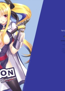 (C74) [TRI-MOON! (Mikazuki Akira!)] PASSION -karakore 2- (Mahou Shoujo Lyrical Nanoha) - page 35