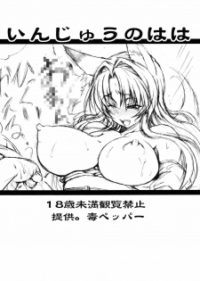 (C75) [Doku pepper (Shiina Kazuki)] Injuu no Haha (Kanokon) [English] {desudesu} - page 10