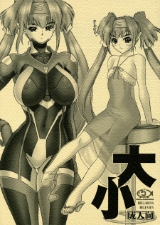 (C74) [Hellabunna (Iruma Kamiri)] Daishou | Large and Small (Macross Frontier)