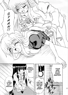 (Reitaisai 3) [Takakuya (Takaku Toshihiko)] Touhou Youjo Ranbu 6 | Touhou Enchantresses' Dance 6 (Touhou Project) [English] - page 20