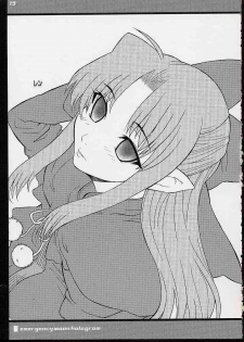 (C62) [UNI MATRIX ONE (Isou Doubaku)] E.M.H - emergency moon hologram (Tsukihime) - page 18