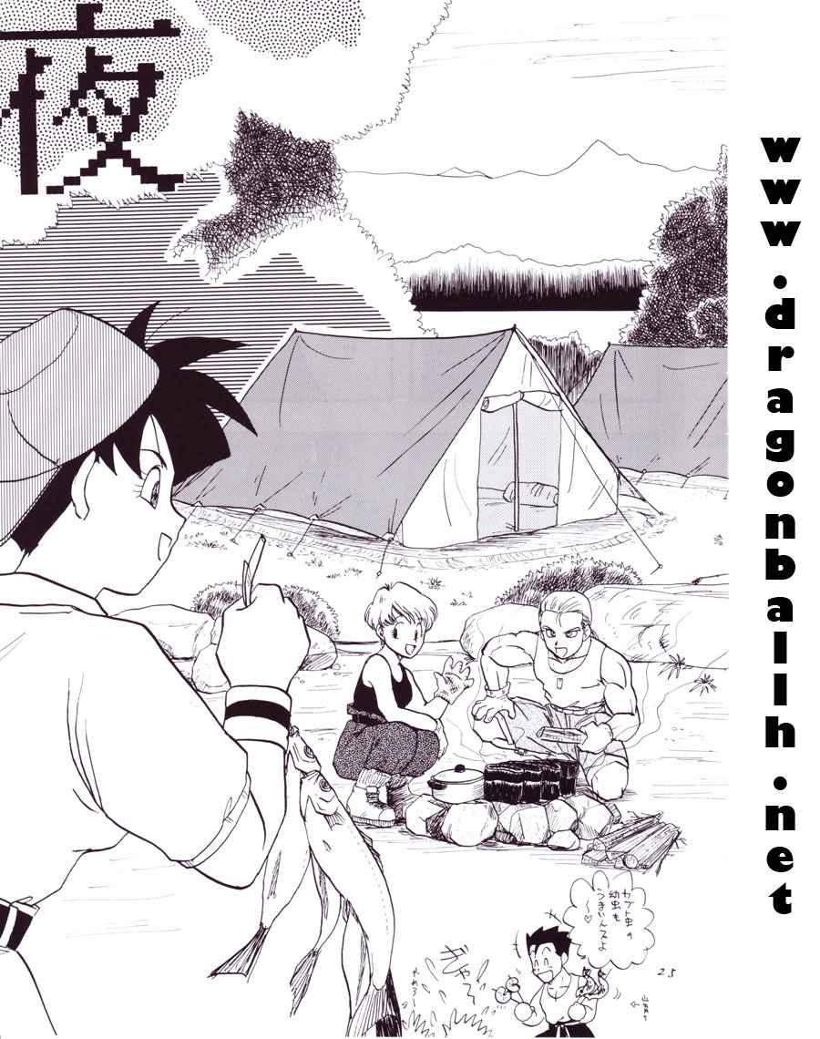 (C54) [Chirigami Goya, Fusuma Goten (Shouji Hariko)] Tirinuruwo (Dragon Ball GT) page 25 full