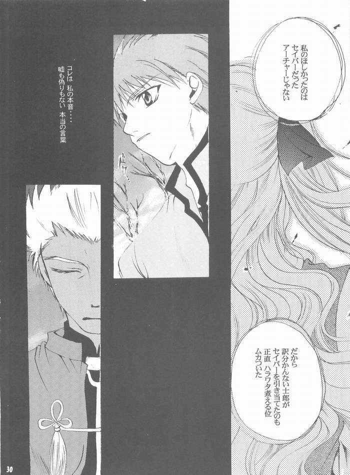 (Mimiket 10) [RED DATA BOOK (Amano Ryuki)] Albireo (Fate/stay night) page 27 full
