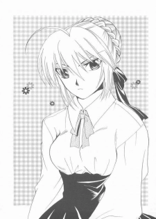 (Mimiket 10) [RED DATA BOOK (Amano Ryuki)] Albireo (Fate/stay night) - page 14
