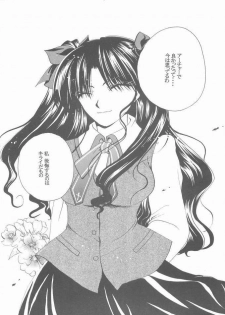 (Mimiket 10) [RED DATA BOOK (Amano Ryuki)] Albireo (Fate/stay night) - page 29