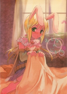 (C67) [Matsurika (Tachibana Sakuyoru, Hota.)] Otona no Jikan (Ragnarok Online)