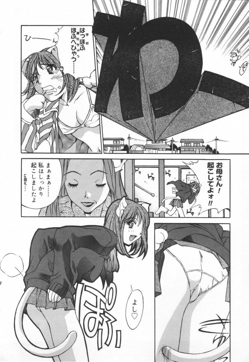 [Emori Misaki] Iiko Ja Irarenai!! page 148 full