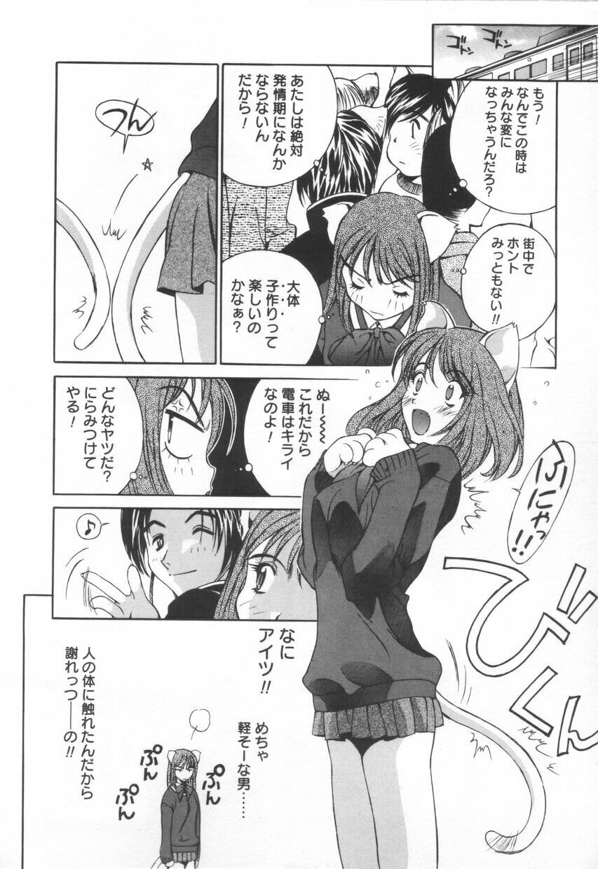 [Emori Misaki] Iiko Ja Irarenai!! page 150 full