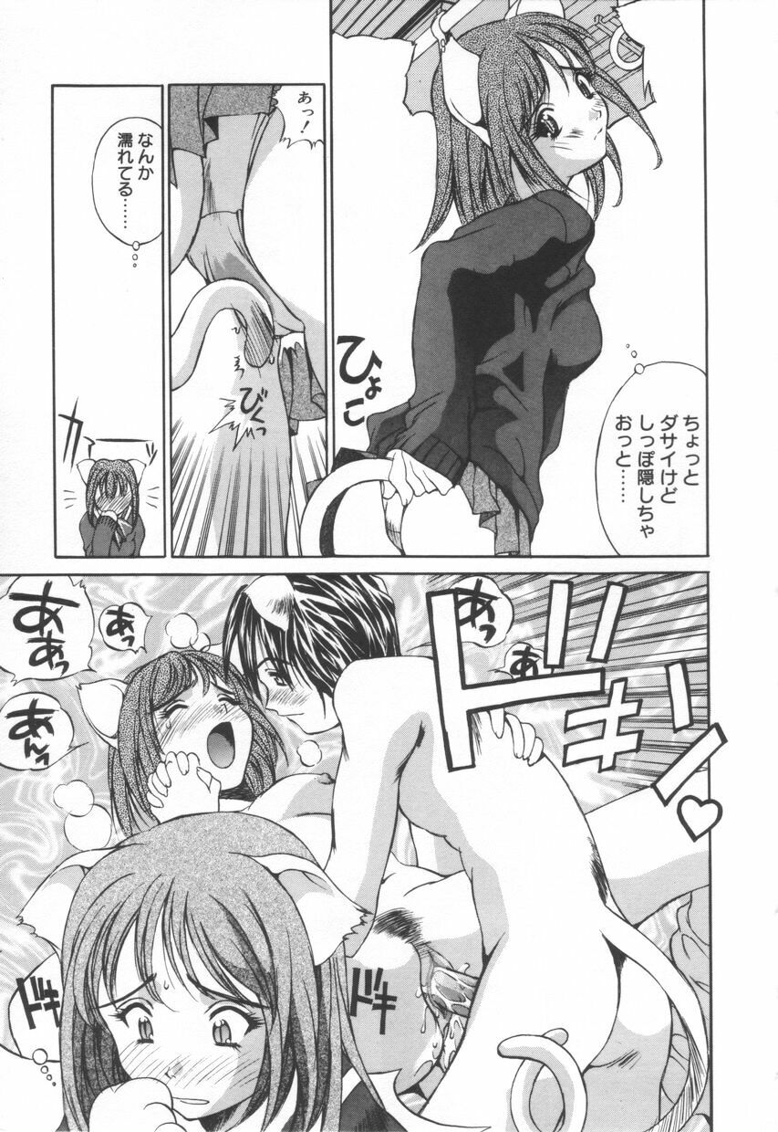 [Emori Misaki] Iiko Ja Irarenai!! page 151 full