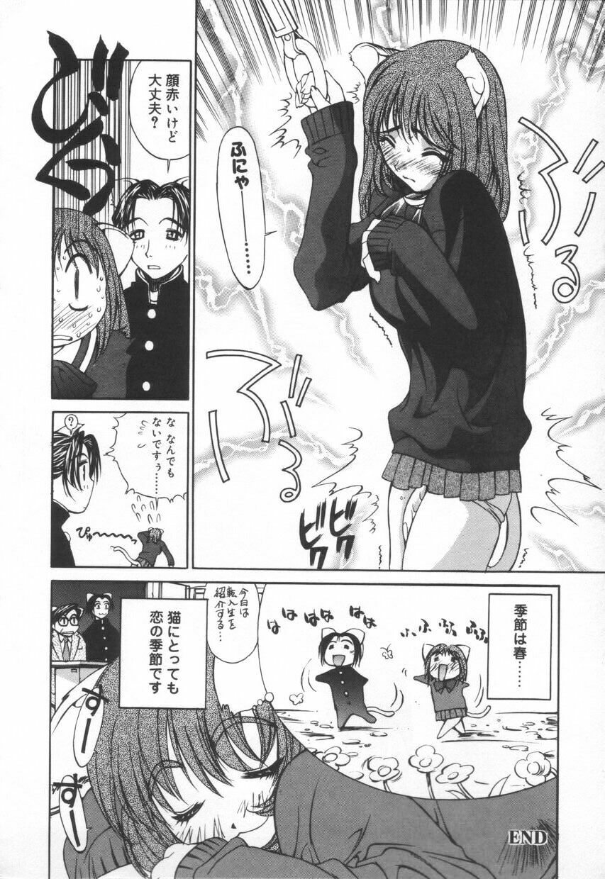 [Emori Misaki] Iiko Ja Irarenai!! page 154 full