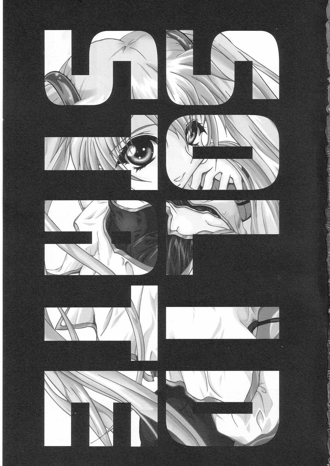 [TERRA DRIVE (Teira)] SOLID STATE 6.5 (Martian Successor Nadesico) page 3 full