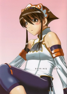 [Milk Hall (Kansuke)] SPRING STORM (SOULCALIBUR)