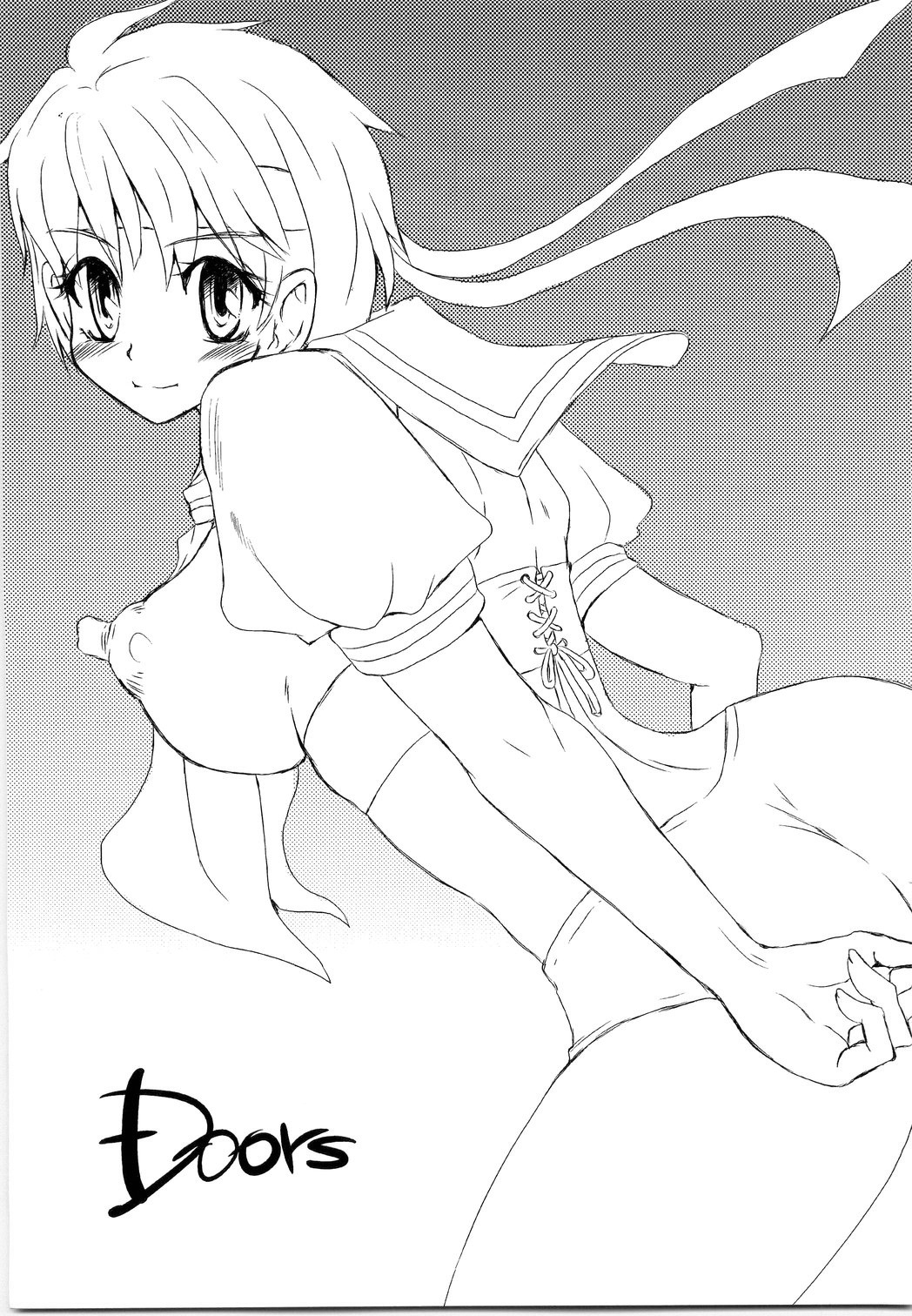 (C68) [Sarurururu (Doru Riheko)] Holic 5 Doors (Street Fighter) page 3 full
