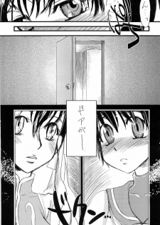(C68) [Sarurururu (Doru Riheko)] Holic 5 Doors (Street Fighter) - page 23