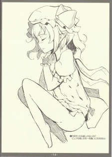 (SC42) [FIRSTAID!! (SORA)] Charisma Break (Touhou Project) - page 14