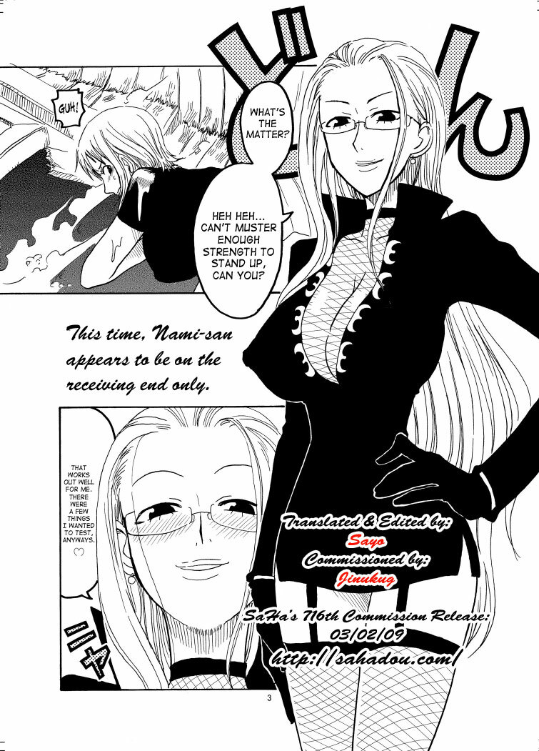 (C70) [ACID-HEAD (Murata.)] Nami no Ura Koukai Nisshi (One Piece) [English] [SaHa] page 4 full
