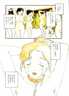[Kaimeiji Yuu] Dorei rikkoku - page 11