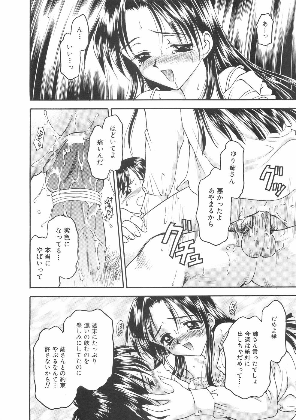 [Kageno Illyss] Hontouni Taisetsu na Mono - The really important one. page 88 full