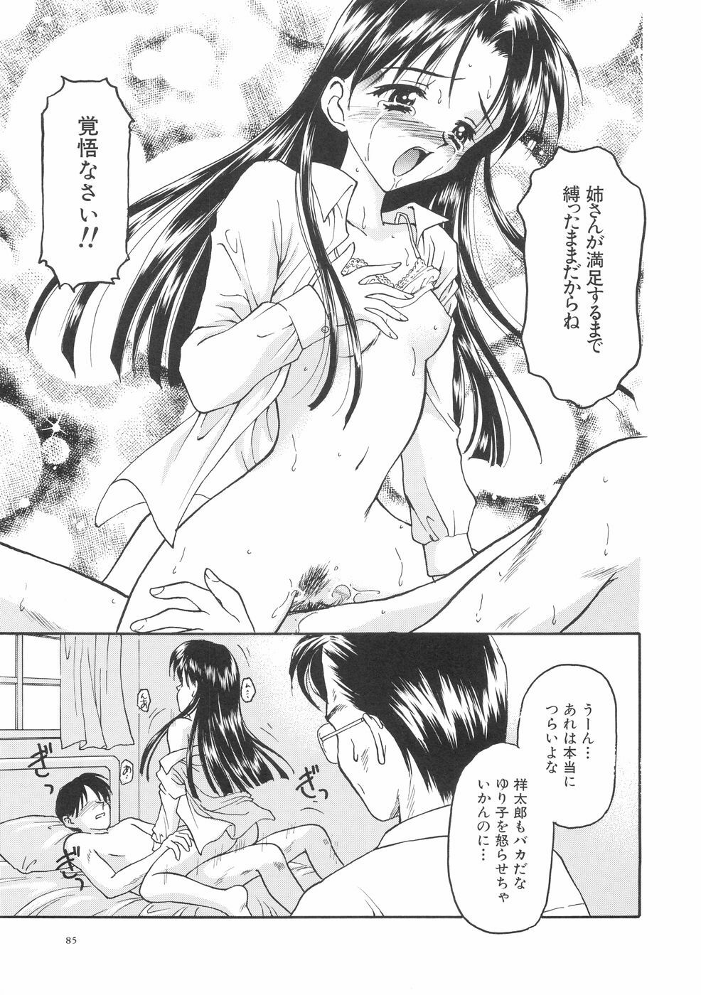 [Kageno Illyss] Hontouni Taisetsu na Mono - The really important one. page 89 full