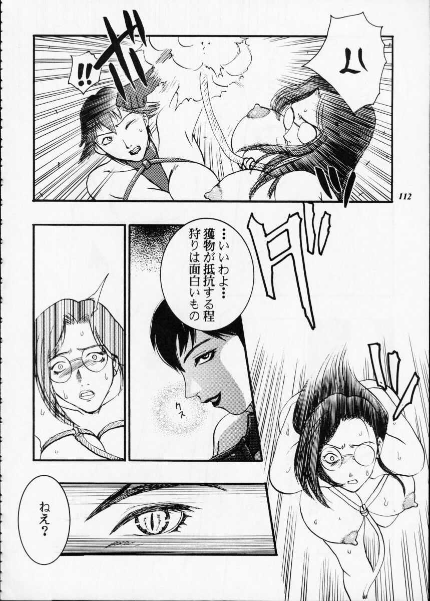 [Metal] Misty Moon Metropolis XII page 111 full