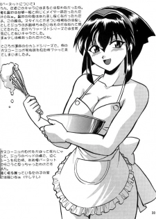 (C63) [Studio Katsudon (Manabe Jouji)] Barnette Book (Vandread) [French] [O-S] - page 29
