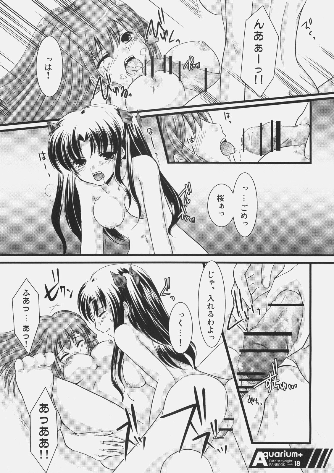 (C70) [Harukomachikan. (Nakazuki Yuuna)] Aquarium+ (Fate/stay night) page 17 full