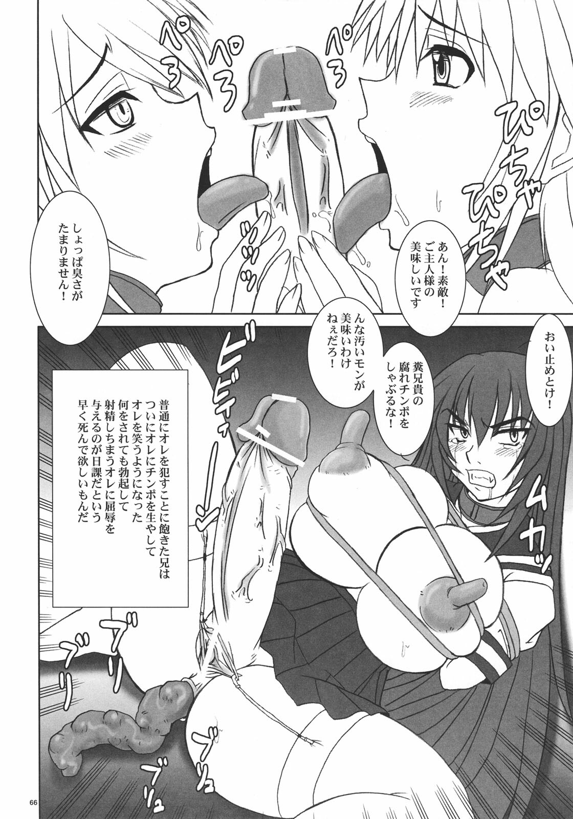 (C70) [Nozarashi (Nozarashi Satoru)] Kyouhime-sama wa Nikubenki page 65 full