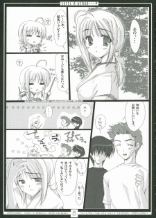 (C70) [Moehina Kagaku (Hinamatsuri Touko)] EXPEL A DEMON...? (Fate/stay night) - page 4