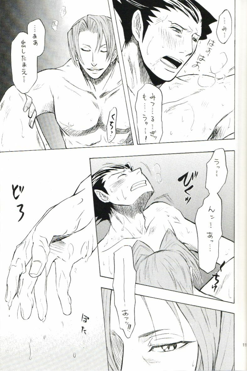 (C70) [Nine Tail (GINKO)] Kimi no Tame ni Sakaseru Hana (Ace Attorney) page 10 full