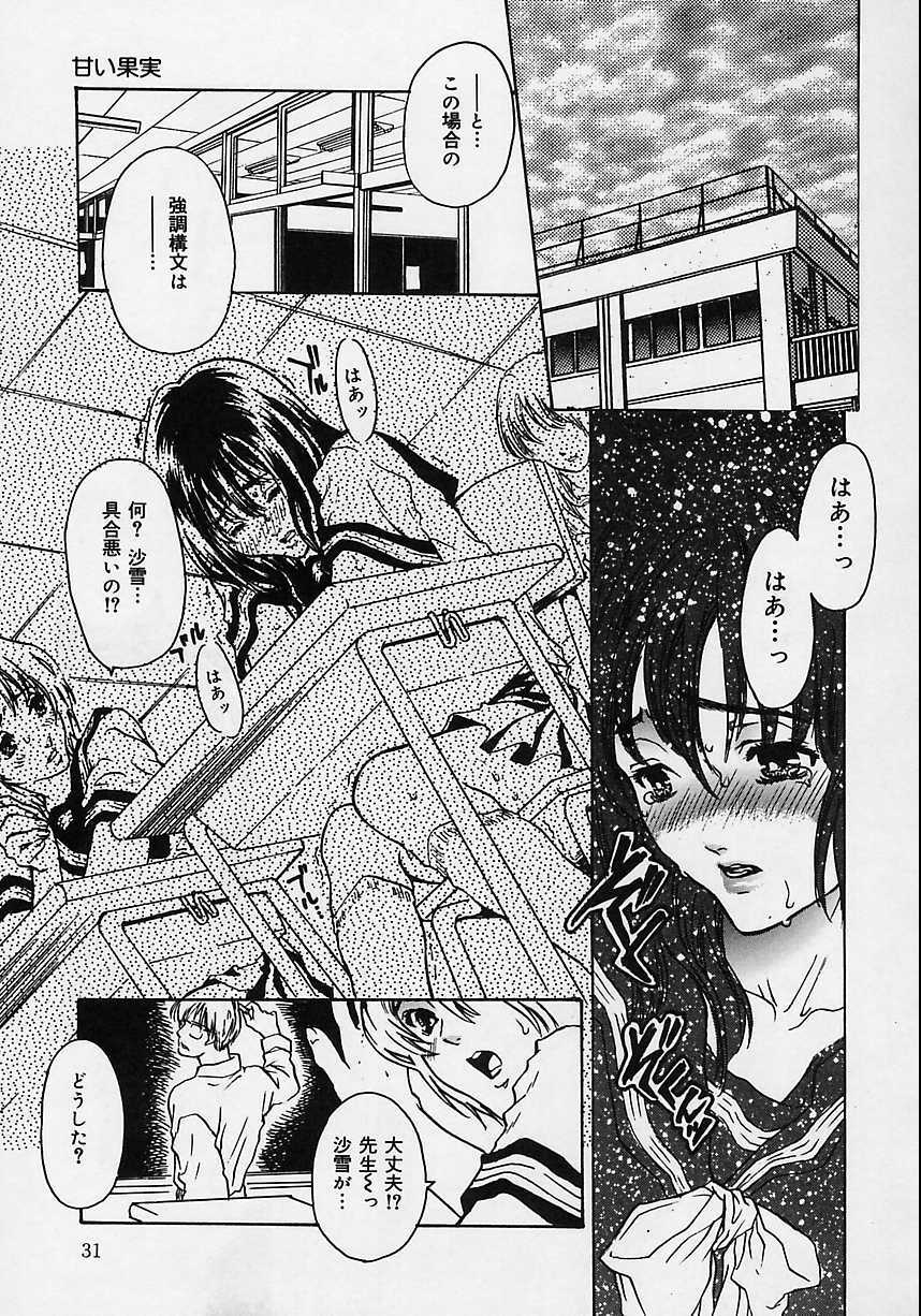 [Shimao Kazu] Aigan Reijou (Love Love Slave) page 30 full