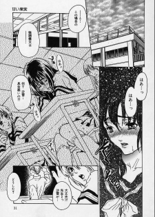 [Shimao Kazu] Aigan Reijou (Love Love Slave) - page 30