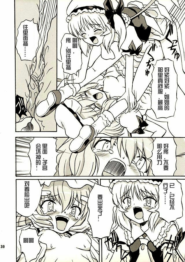 (Reitaisai 2) [Takakuya (Takaku Toshihiko)] Touhou Youjo Ranbu 2 (Touhou Project) [Chinese] page 29 full