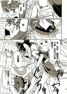 (Reitaisai 2) [Takakuya (Takaku Toshihiko)] Touhou Youjo Ranbu 2 (Touhou Project) [Chinese] - page 10