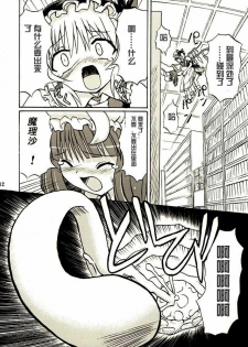 (Reitaisai 2) [Takakuya (Takaku Toshihiko)] Touhou Youjo Ranbu 2 (Touhou Project) [Chinese] - page 11