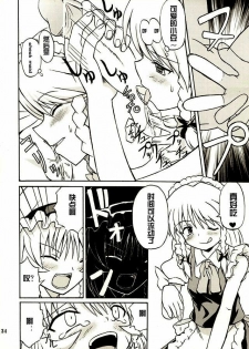 (Reitaisai 2) [Takakuya (Takaku Toshihiko)] Touhou Youjo Ranbu 2 (Touhou Project) [Chinese] - page 33