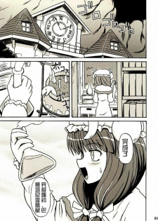 (Reitaisai 2) [Takakuya (Takaku Toshihiko)] Touhou Youjo Ranbu 2 (Touhou Project) [Chinese] - page 4