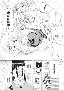 (Reitaisai 3) [Takakuya (Takaku Toshihiko)] Touhou Youjo Ranbu 6 (Touhou Project) [Chinese] - page 22